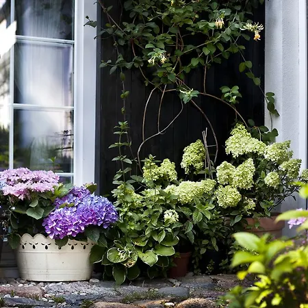 Lägenhet Fisher House